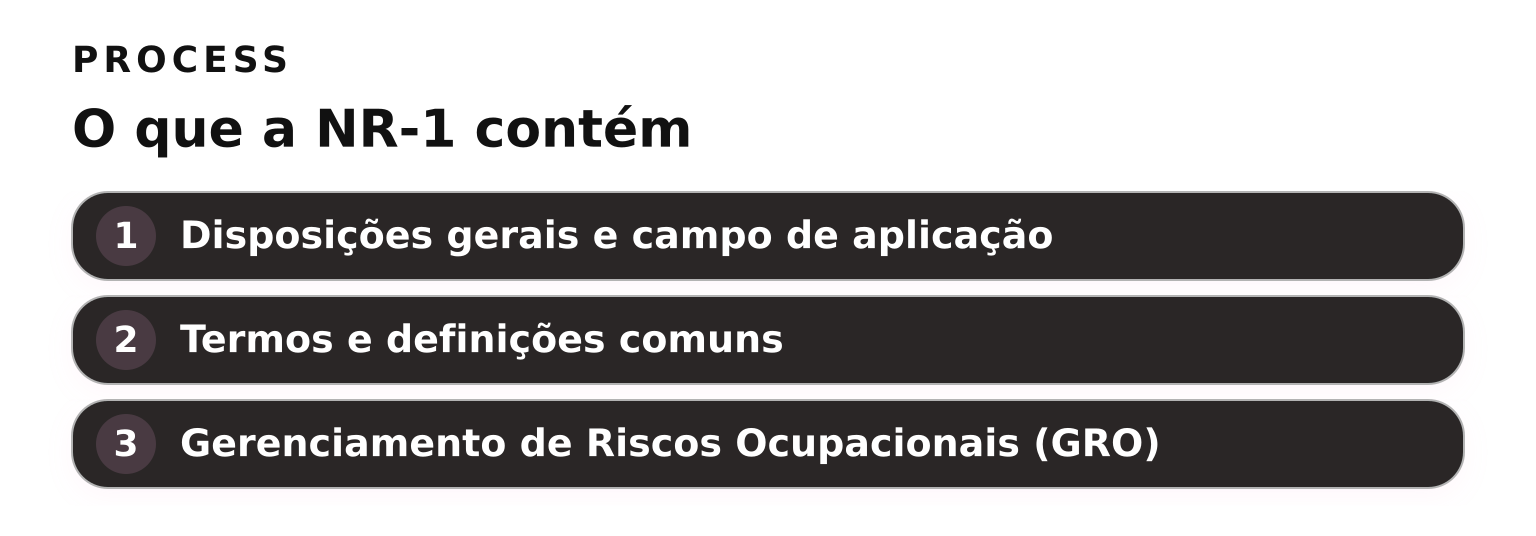 Processo: o que a NR-1 contém em três blocos — disposições gerais, definições e GRO